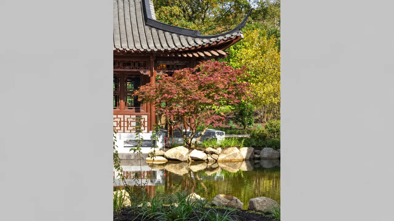 An acer with autumn-coloured foliage beside rocks and a pool at the Yangzhou Scholars Garden.